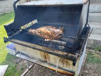 20250503_110705 (1024x768).jpg